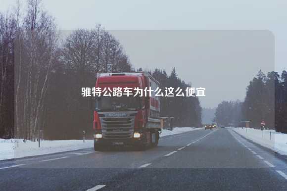 骓特公路车为什么这么便宜