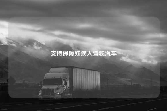 支持保障残疾人驾驶汽车