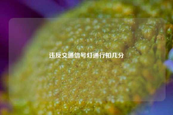 违反交通信号灯通行扣几分