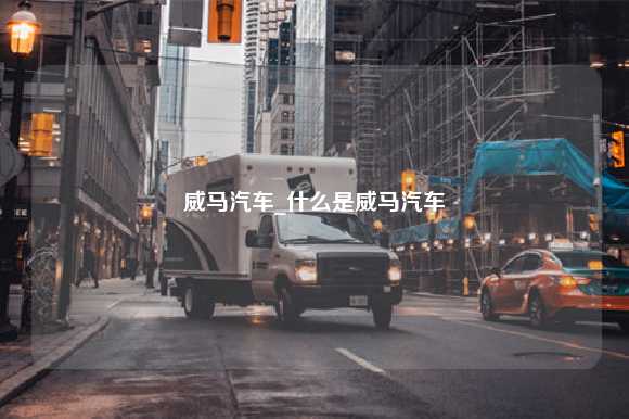 威马汽车_什么是威马汽车