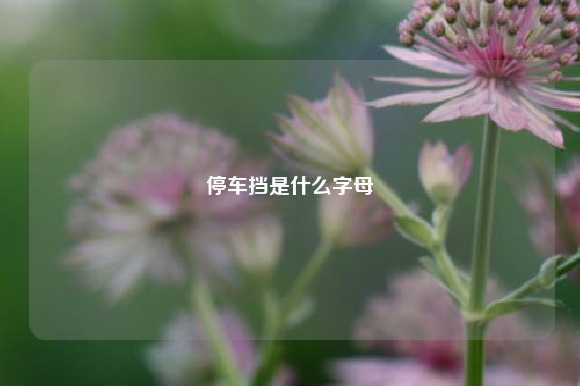 停车挡是什么字母