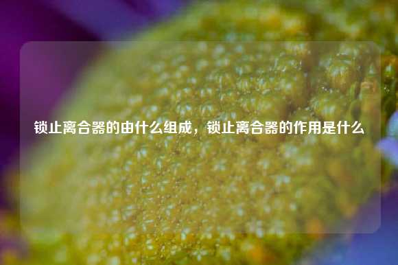 锁止离合器的由什么组成，锁止离合器的作用是什么