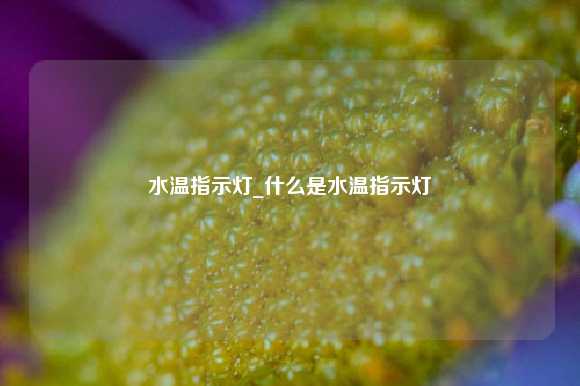 水温指示灯_什么是水温指示灯